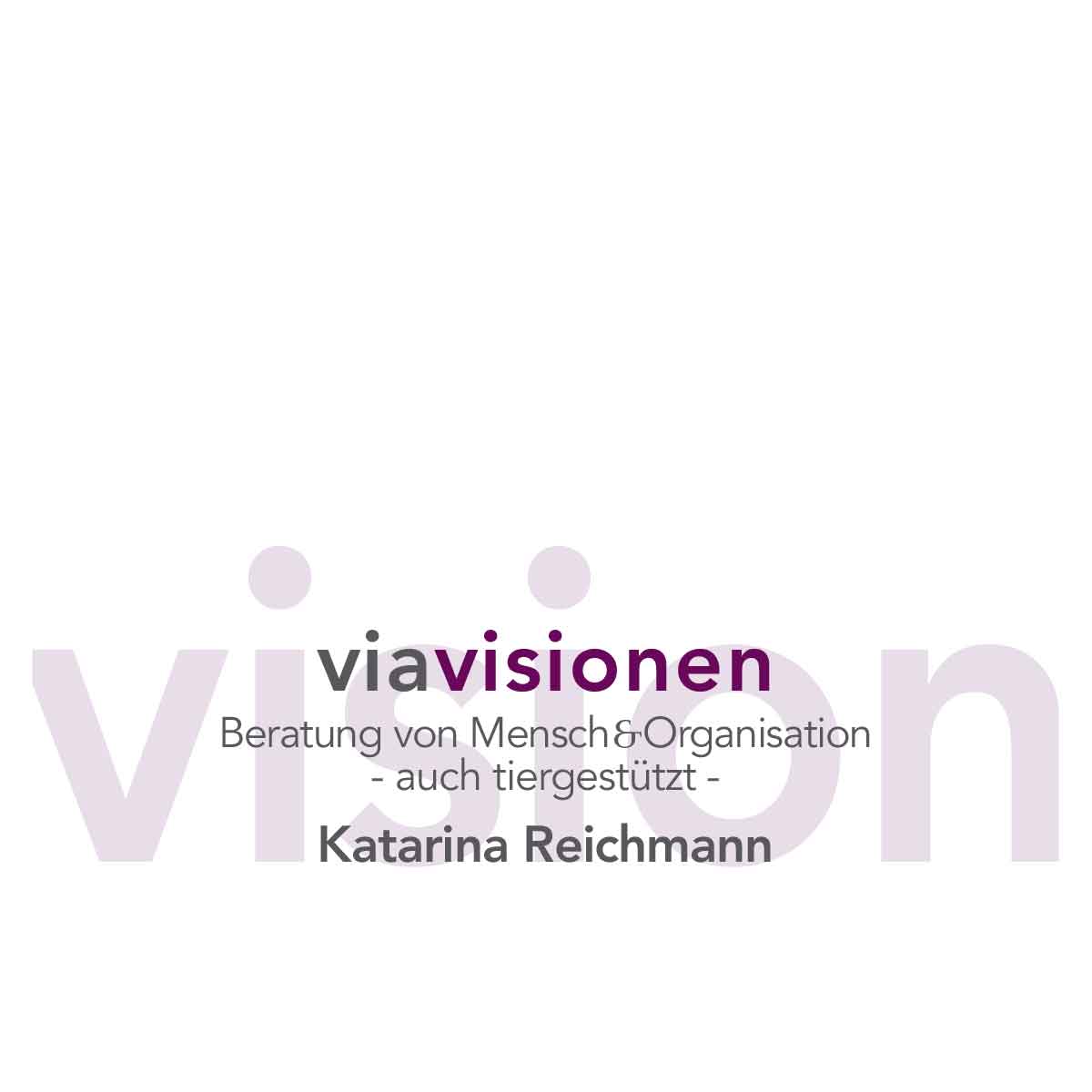 Logo Design von viavisionen
